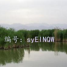 ѧ