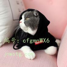 ѧ